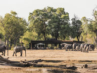 Wilderness Davisons _Hwange