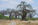 Ruaha NP Gallery
