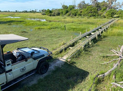 Camp Maru game drive Okavango Delta