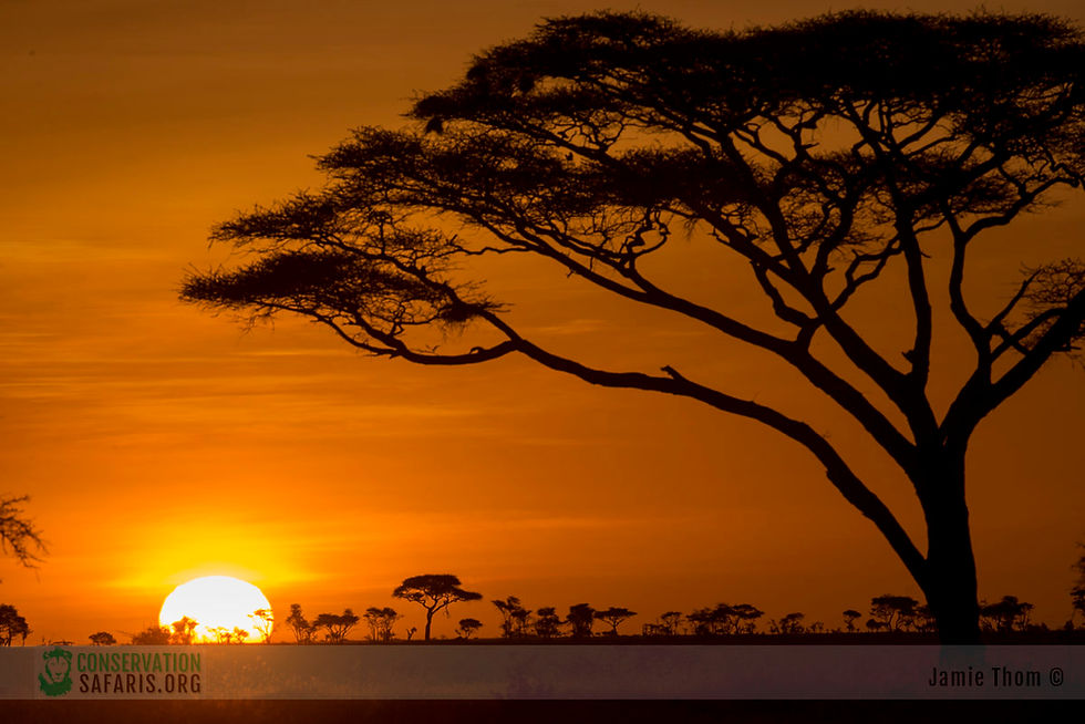 Thumbnail: MY TANZANIA - 9nts