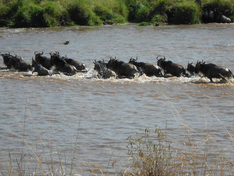 Thumbnail: CRATER,MIGRATION & BEACH - 12nts