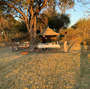 An excellent trip to Botswana