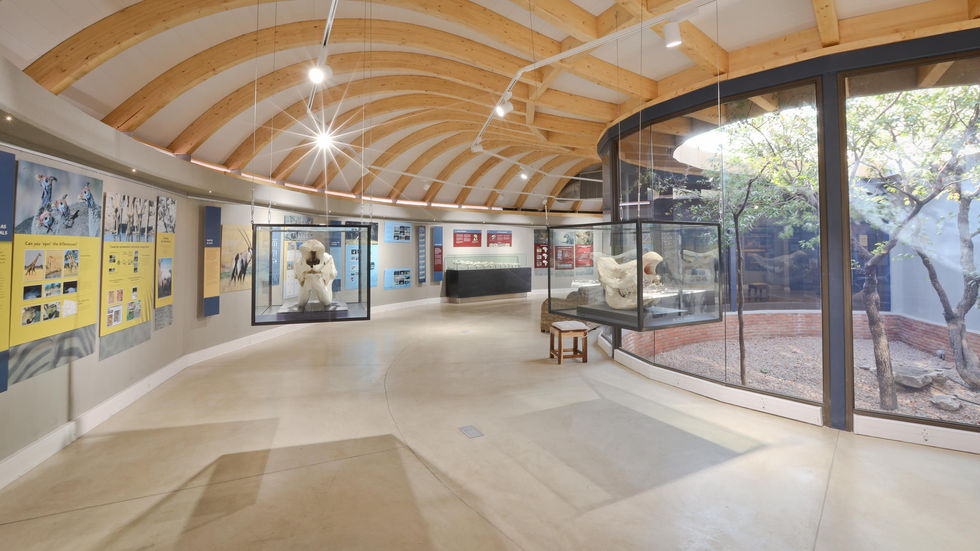 Discovery centre at Ongava is a feast for the eye and curious visitors