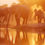 Thumbnail: RIVERS OF LIFE, LUANGWA & ZAMBEZI 7 nts