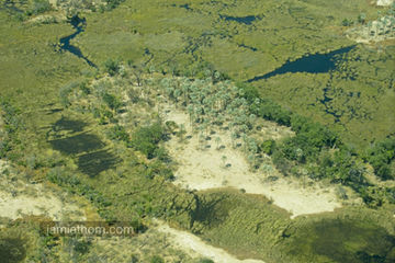 The mesmerizing Okavango and islands from above