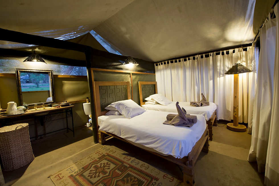 Thumbnail: ZIMBABWE'S RICH DRY SEASON - 6nts
