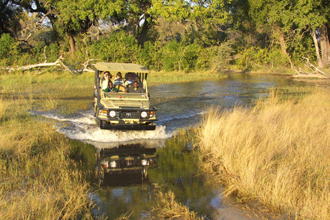 Game Drive PomPom Camp.jpg
