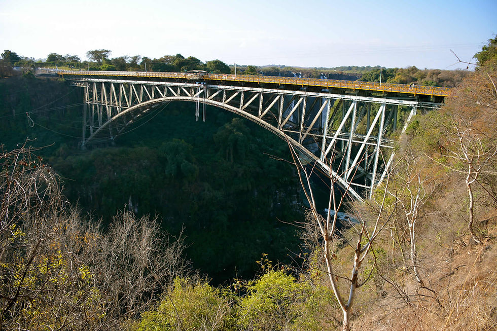 Thumbnail: BRIDGE ZIPLINE