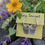 Thumbnail: AS 172  All Silver Earrings