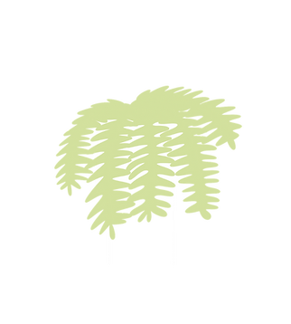17.png