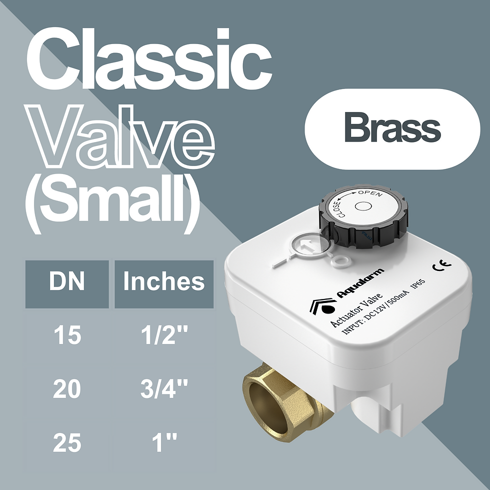 Brass valve (small)
