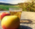 Obstpresse