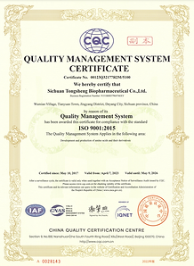 ISO9001.png