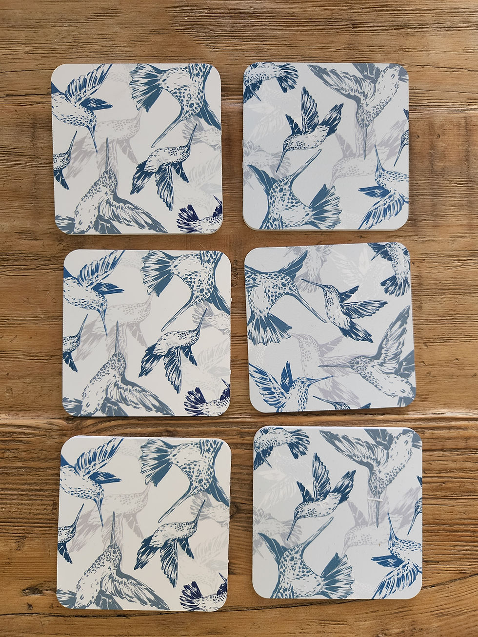 Miniatura: POSAVASOS PÁJAROS