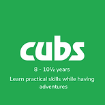CubsButtonLogo.png