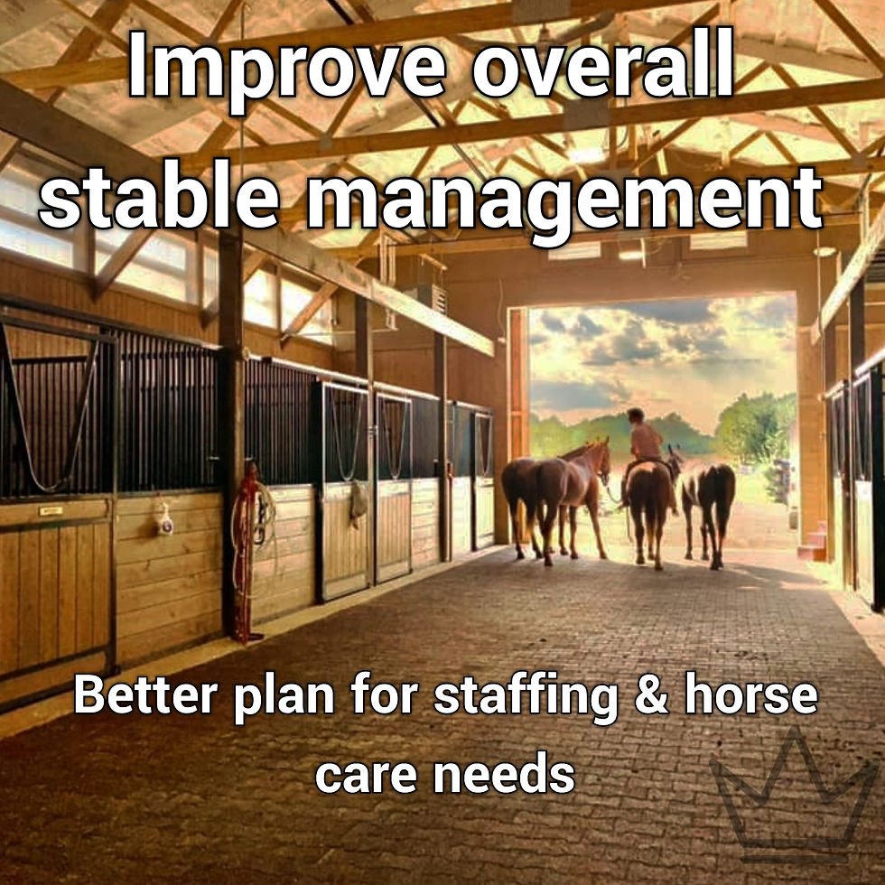 Thumbnail: Portable Equestrian Horse Pony Stable CCTV | Horse 4G Remote monitoring CCTV Cam