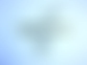 Feline Panleukopenia