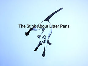 The Stink About Litter Pans