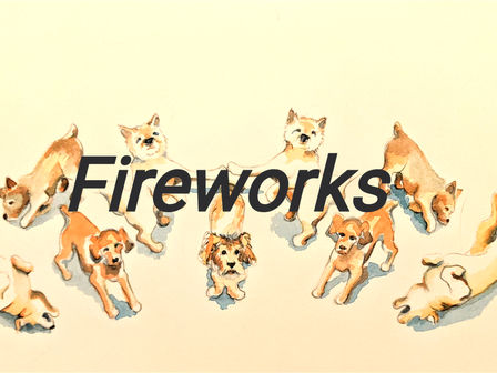 The Folly of Fireworks