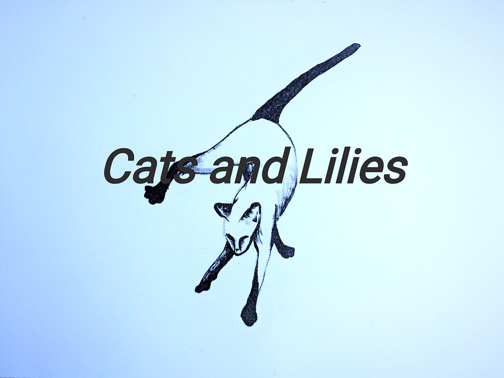 Cats and Lilies