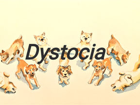 Dystocia and C-section