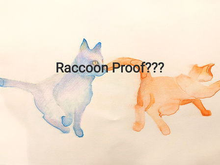Raccoon Proof???