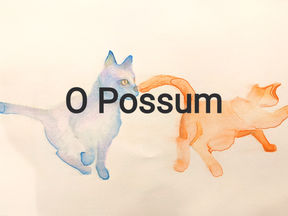 O Possum