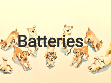 Dogs and Household Batteries