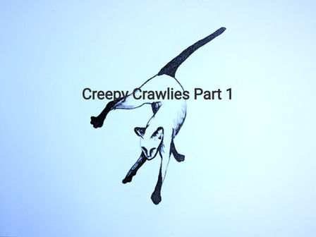 Creepy Crawlies Part 1