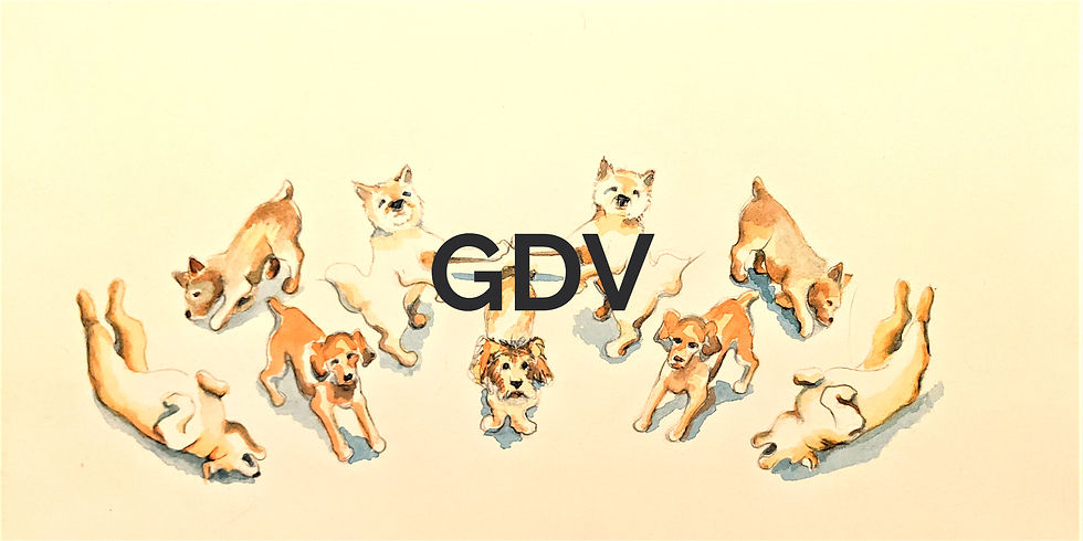 GDV