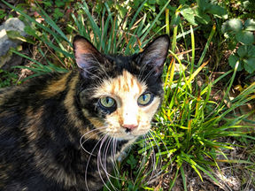 Unnecessary Conflict Part 2