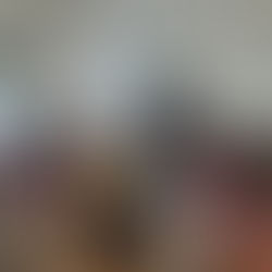 Il laboratorio di ascolto è una occasione preziosa per incontrare la musica dal vivo guidati da strumentisti che spiegano i brani e insegnano le strategie di ascolto.