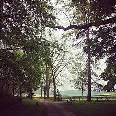 French countryside on Conpiescious