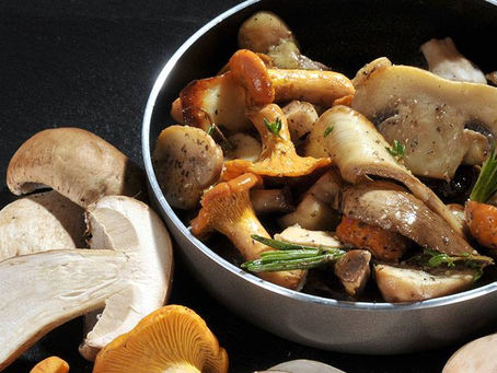 Champignons : comment profiter au mieux de leurs bienfaits ?