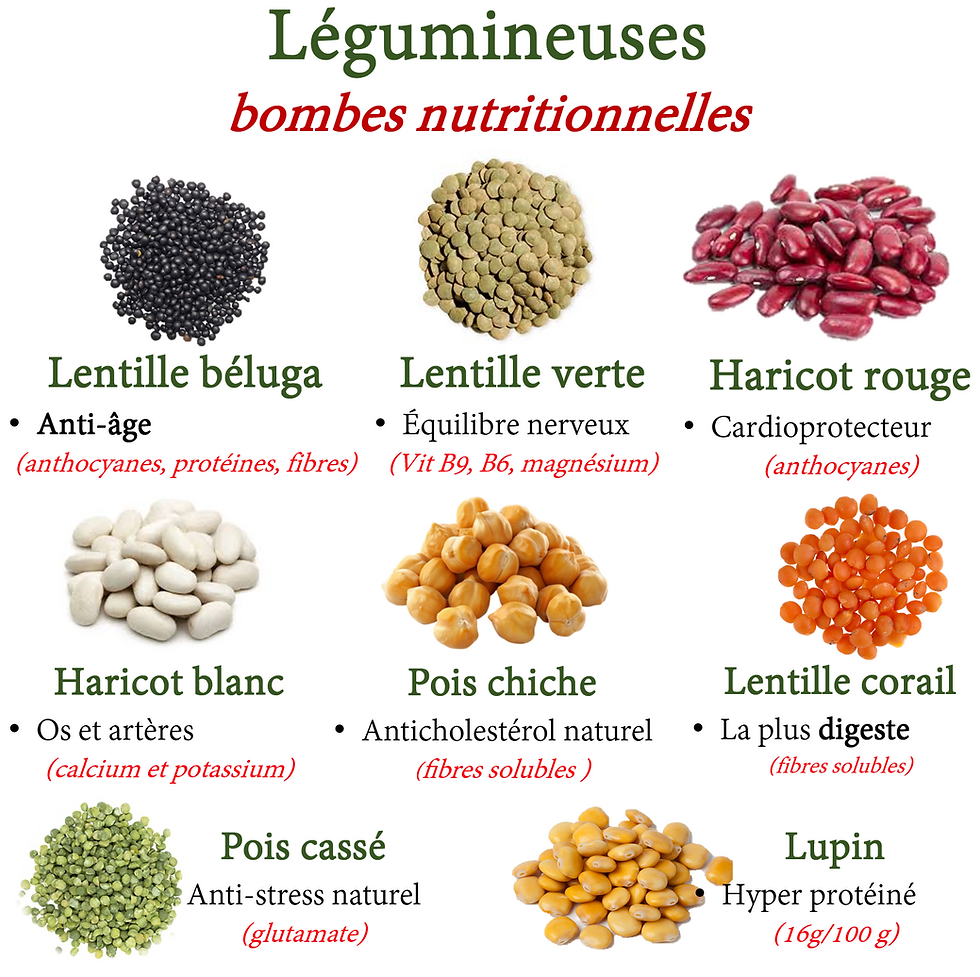 légumineuses et leurs bienfaits santé