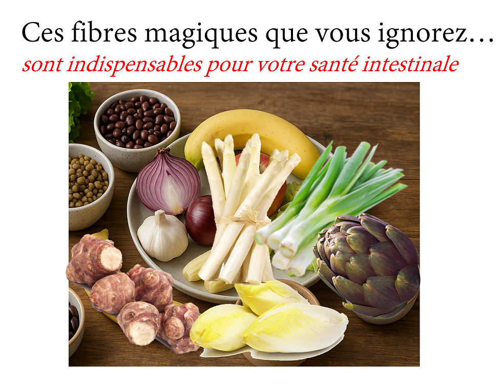 Ces fibres méconnues... qui décident de votre santé intestinale