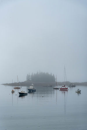 Foggy Seal Harbor Boats