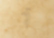 Historica Backround Website 1.jpeg