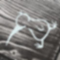 Kiwi_Holz.jpeg
