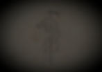 Historica Backround Website 1_edited.jpg