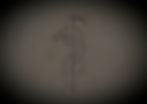 Historica Backround Website 1_edited_edited.jpg