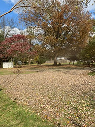 IMG_3809.JPEG