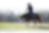 Flinn transp.png