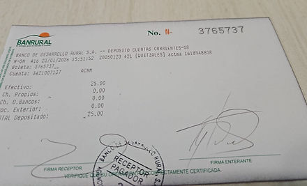 Ejemplo Boleta.jpg