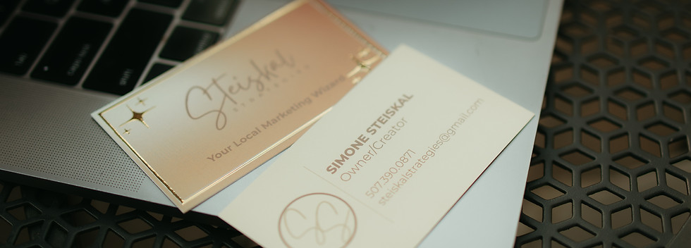 Steiskal Strategies Business Cards