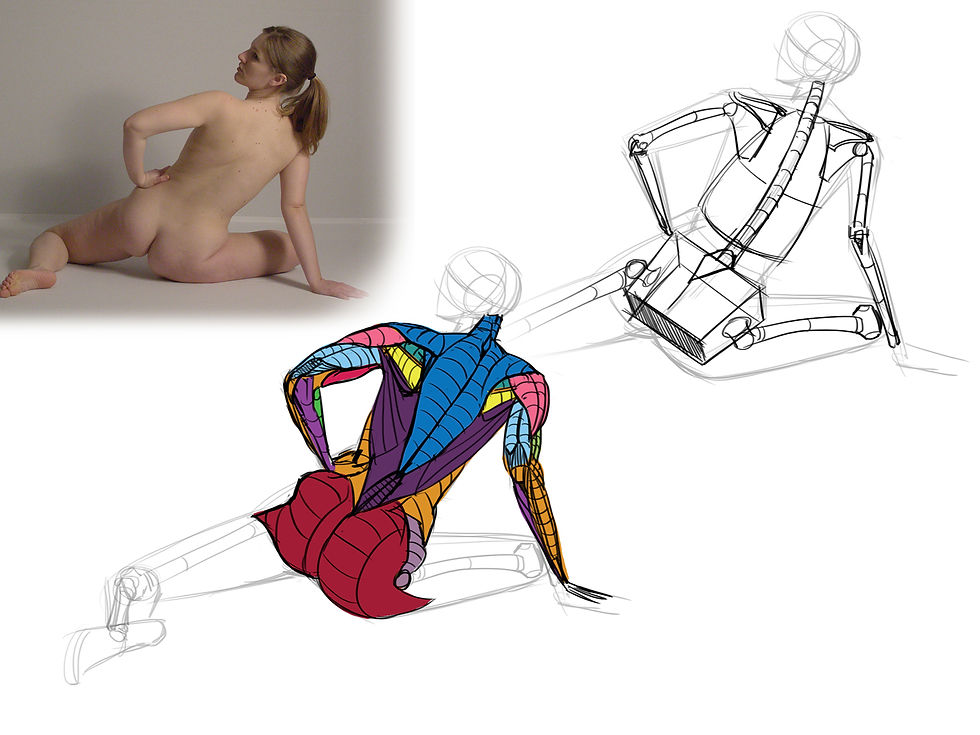 Anatomy Study 002