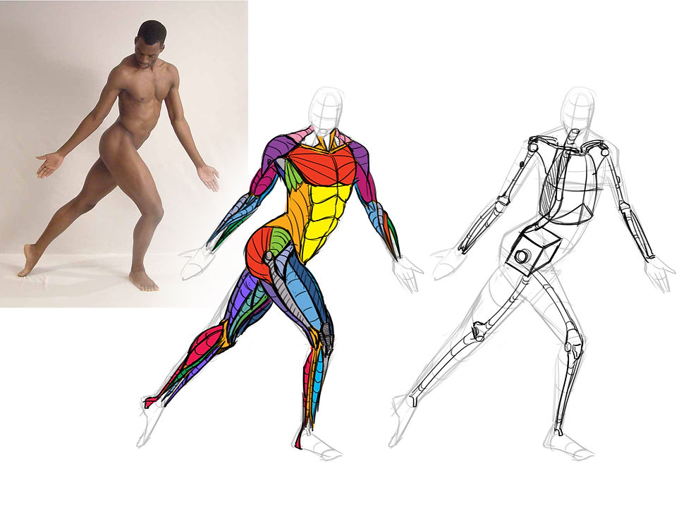 Anatomy Study 004