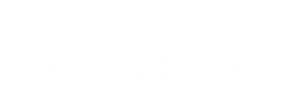 Nicksquisite Auto Detailing Logo