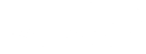 Nicksquisite Auto Detailing Logo