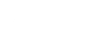 Nicksquisite Auto Detailing Logo